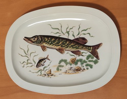 Fisch Teller