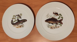 Fisch Teller