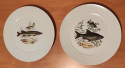 Fisch Teller